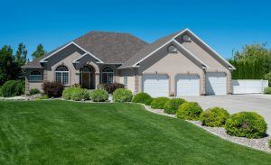 Blue Grass Sod Producers Ltd photo 8